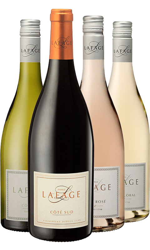 MIX&MATCH דומיין לפאג'